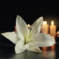 Image de fleurs, funéraires